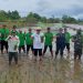 Limi Mokodompit Turun Langsung Tanam Padi Sawah di Desa Konarom