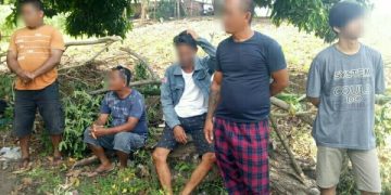 Polisi Tangkap 6 Pelaku Judi Sabung Ayam di Menembo-nembo Bawah
