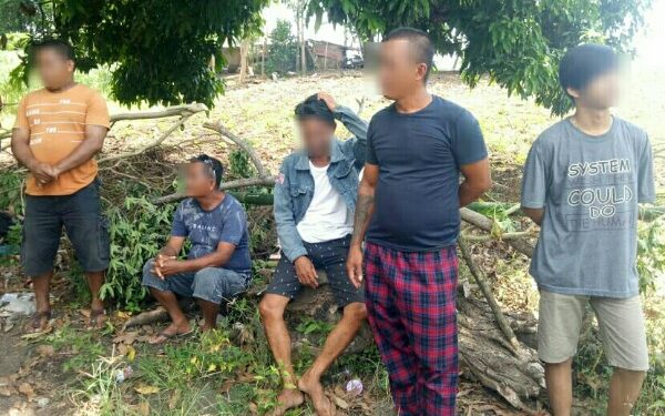 Polisi Tangkap 6 Pelaku Judi Sabung Ayam di Menembo-nembo Bawah