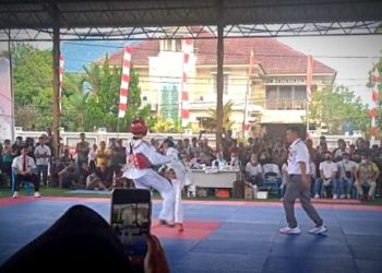 Pakaryanto Sumbang Emas Lewat Cabor Taekwondo Kelas 54 Kg Putra