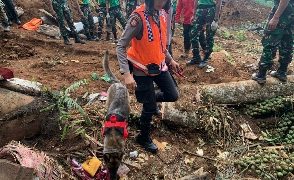Anjing Pelacak Temukan Titik Diduga Korban Tertimbun Longsor Cianjur