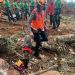 Anjing Pelacak Temukan Titik Diduga Korban Tertimbun Longsor Cianjur