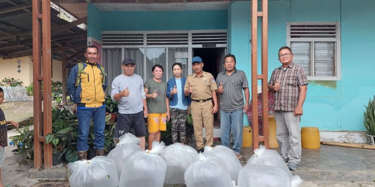 Dinas Perikanan Boltim Salurkan Bantuan Bibit Ikan Nila