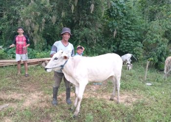 Pemdes Buyandi Serahkan Bantuan Program Ketahanan Pangan