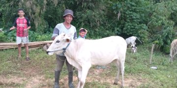 Pemdes Buyandi Serahkan Bantuan Program Ketahanan Pangan