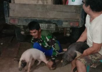 Tingkatkan Ekonomi Masyarakat Pasca Pandemi, Pemdes Dodap Mikasa Salurkan Bantuan Ternak