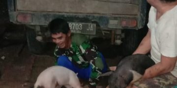 Tingkatkan Ekonomi Masyarakat Pasca Pandemi, Pemdes Dodap Mikasa Salurkan Bantuan Ternak