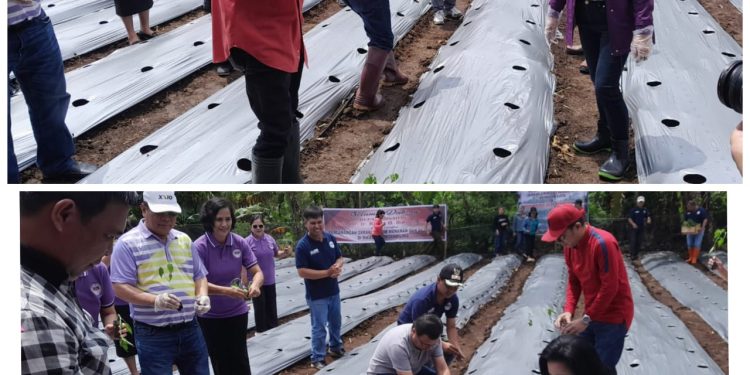 Canangkan Gerakan GMIM Menanam dan Beternak, Bupati ROR Apresiasi Jemaat Wilayah Tondano V