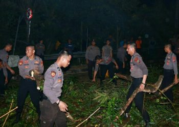 1 Peleton Pasukan Samapta Polda Sulut Evakuasi Pohon Tumbang di Jalan Lumimuut Manado