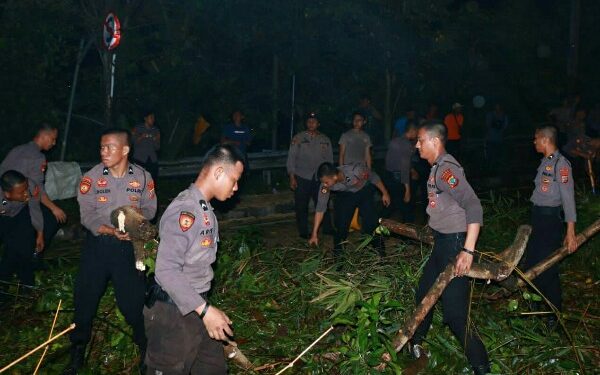 1 Peleton Pasukan Samapta Polda Sulut Evakuasi Pohon Tumbang di Jalan Lumimuut Manado