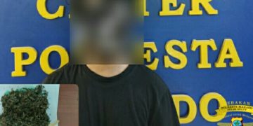 Terima Kiriman 1 Paket Ganja Kering, Pria asal Halmahera Utara ini Diciduk Tim Satresnarkoba Polresta Manado