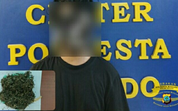Terima Kiriman 1 Paket Ganja Kering, Pria asal Halmahera Utara ini Diciduk Tim Satresnarkoba Polresta Manado