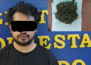 1 Paket Besar Ganja Nyaris Beredar di Manado, Dikirim Via Kargo