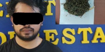 1 Paket Besar Ganja Nyaris Beredar di Manado, Dikirim Via Kargo