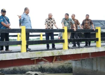Bupati Tinjau Jembatan di Kecamatan Rawang Panca Arga