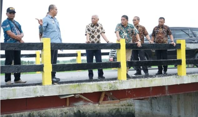 Bupati Tinjau Jembatan di Kecamatan Rawang Panca Arga