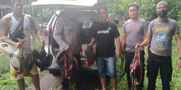 Polisi Gerebek Judi Sabung Ayam di Tandurusa Bitung