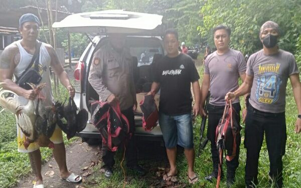 Polisi Gerebek Judi Sabung Ayam di Tandurusa Bitung