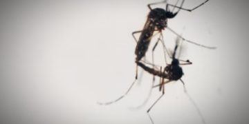 Momentum HKN, Dinkes Kotamobagu Launching Inovasi Kabela