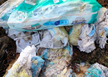 DLH: Popok Bayi Mendominasi Sampah Rumah Tangga Di Buton Tengah