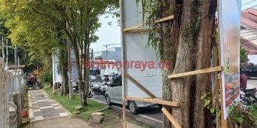 Pasang APK Gunakan Pohon Peneduh, Mokoginta: Akan Ditindaklanjuti