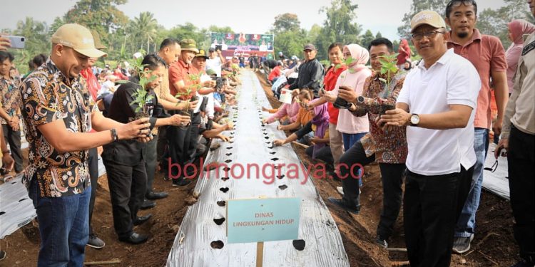 Asripan Nani Canangkan Penanaman 10.000 Bibit Cabai di Lahan Bukit Ilongkow