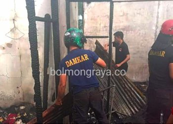 Kerahkan 4 Unit Mobil Damkar, Personil Damkar Kotamobagu Atasi Kebakaran di Desa Poyowa Kecil