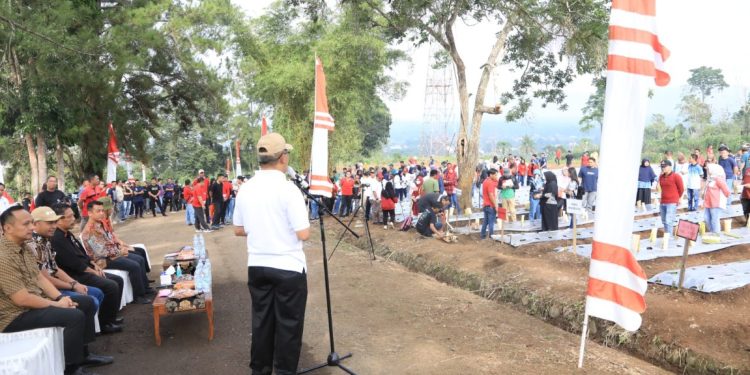 Ketua DPRD Apresiasi Pencanangan Progam Penanaman Cabai oleh Pemkot Kotamobagu