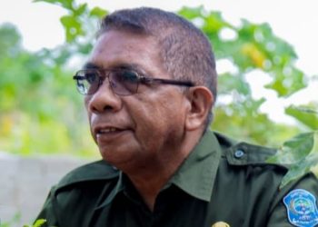 Dinas Pangan dan PKK Buton Tengah Bagikan 10 Ribu Bibit Cabai