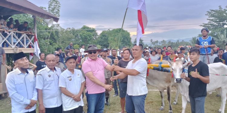 Buka Lomba Karapan Sapi, Bupati Limi: Ini Kebanggan Kita Semua