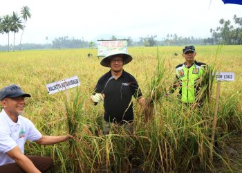 Panen Padi Sawah, Asripan Nani Serahkan Bantuan Alsintan ke Poktan