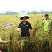 Panen Padi Sawah, Asripan Nani Serahkan Bantuan Alsintan ke Poktan