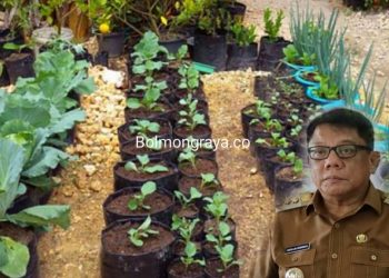 Strategi Hadapi Inflasi, Abdullah Mokoginta Ajak Masyarakat Galakkan Program Dapur Hidup