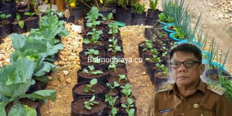 Strategi Hadapi Inflasi, Abdullah Mokoginta Ajak Masyarakat Galakkan Program Dapur Hidup