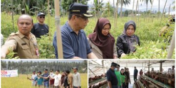 Pastikan Ketersediaan Pangan, Abdullah Mokoginta Tinjau Lahan Pertanian dan Sentra Peternakan