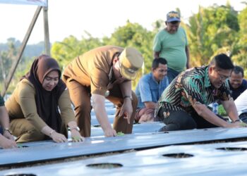 Abdullah Mokoginta Hadiri Penanaman Cabai Rawit Bantuan BI Perwakilan Sulut