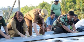 Abdullah Mokoginta Hadiri Penanaman Cabai Rawit Bantuan BI Perwakilan Sulut