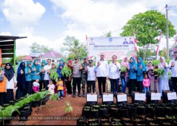 Desa Langkomu Sukses Terapkan Program PLAKAT, Kadis Pangan Buteng Harapkan Kemandirian Pangan di Seluruh Desa
