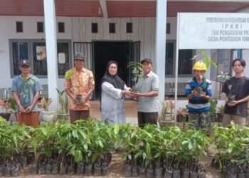 Dorong Peningkatan Ekonomi Masyarakat, Pemdes Pontodon Timur Salurkan Bantuan Bibit Tanaman Kakao