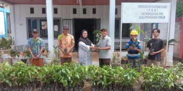 Dorong Peningkatan Ekonomi Masyarakat, Pemdes Pontodon Timur Salurkan Bantuan Bibit Tanaman Kakao