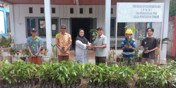 Dorong Peningkatan Ekonomi Masyarakat, Pemdes Pontodon Timur Salurkan Bantuan Bibit Tanaman Kakao