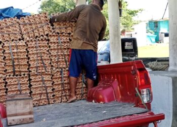 Tantangan Pengembangan Ketahanan Pangan di Buton Tengah Lima Tahun ke Depan