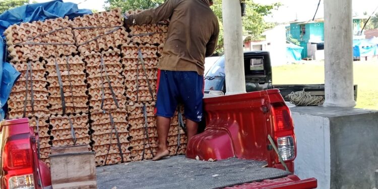 Tantangan Pengembangan Ketahanan Pangan di Buton Tengah Lima Tahun ke Depan