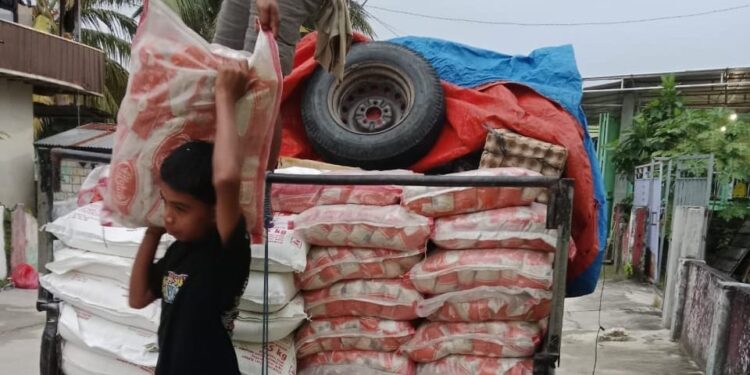 Dinas Pangan Buton Tengah Perkuat Konsumsi Pangan Lokal yang Beragam
