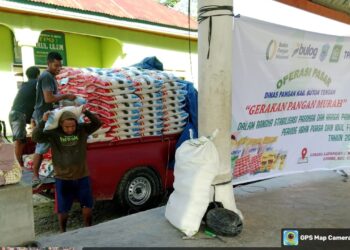 Dinas Pangan Buton Tengah Perkuat Kemitraan dengan Kementrian Pertanian dan Badan Pangan Nasional