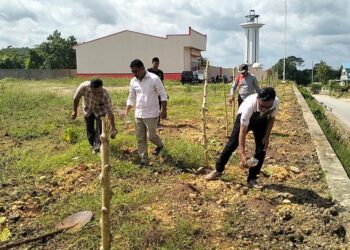 Dinas Pangan Buton Tengah Tingkatkan Sinergi Demi Masa Depan Pangan