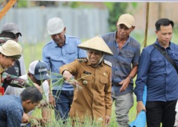 Kerjasama BI, Weny Gaib Apresiasi Panen Raya Bawang Merah Poktan Berkah