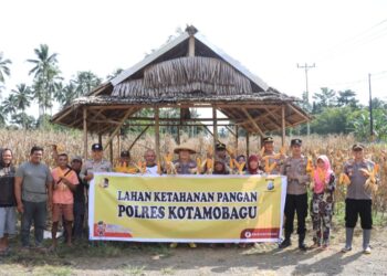 Gelorakan Program Ketahanan Pangan, Polres Kotamobagu Panen Raya Jagung di Perkebunan Boyaya