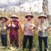Tingkatkan Produktivitas Tanaman Jagung, Wali Kota Weny Gaib Apresiasi Polres Kotamobagu