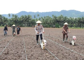 Dukung Swasembada Pangan Nasional, Polres Kotamobagu Gelar Penanaman Jagung Serentak Kuartal III